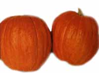 Pumpkin
